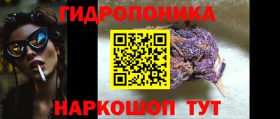 кокс Гатчина