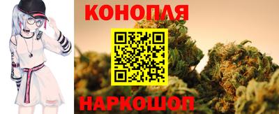 кокс Гатчина