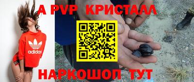 кокс Гатчина