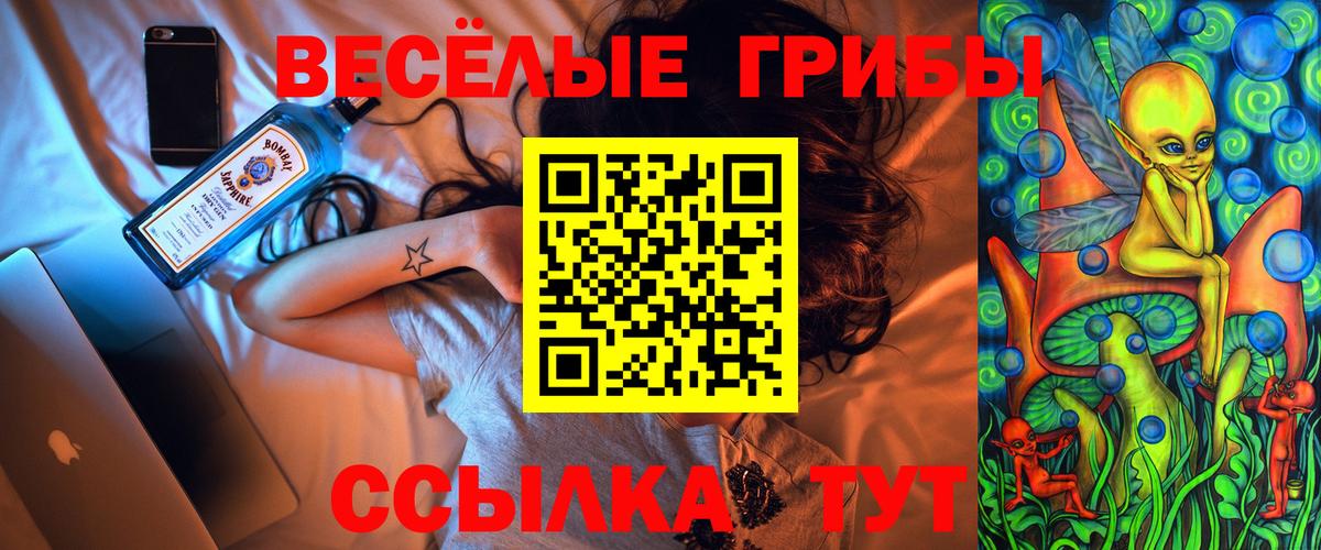 Псилоцибиновые грибы Psilocybine cubensis  Галлюциногенные грибы GOLDEN TEACHER  Вход с VPN  Бутурлиновка 