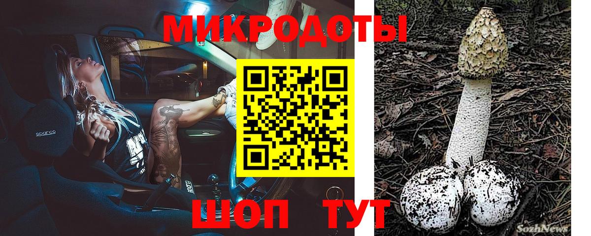 Псилоцибиновые грибы ЛСД Бутурлиновка