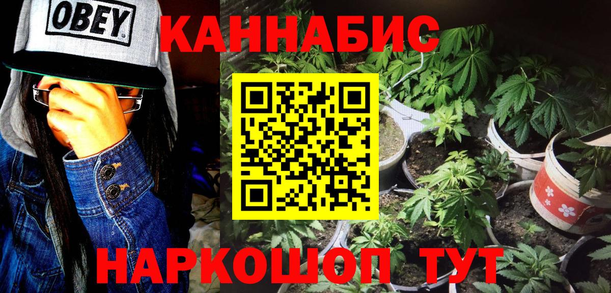 Каннабис планчик  МАРИХУАНА AK-47  Шишки марихуана THC 21%  Бутурлиновка  Вход с VPN  Марихуана семена 